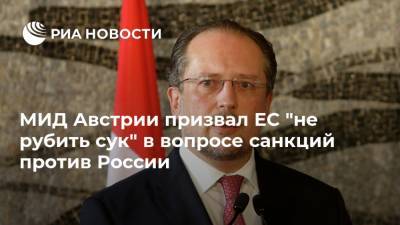 Сергей Лавров - Александер Шалленберг - МИД Австрии призвал ЕС "не рубить сук" в вопросе санкций против России - ria.ru - Москва - Австрия - Россия - Украина