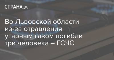 Во Львовской области из-за отравления угарным газом погибли три человека – ГСЧС - strana.ua - Киевская обл. - Львовская обл. - район Самборский - Буча