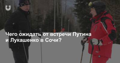 Владимир Путин - Александр Лукашенко - Чего ожидать от встречи Путина и Лукашенко в Сочи? - news.tut.by - Сочи