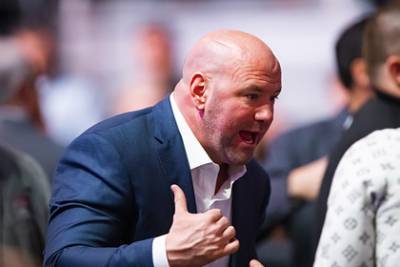 Уайт Дэйна - UFC пощадил нарушившего правила «бойцовского острова» немца - lenta.ru - Абу-Даби