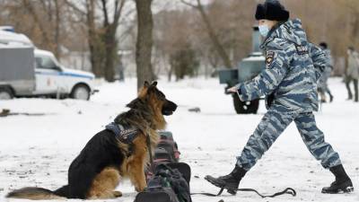 В Барнауле проверяют сообщения о минировании ряда школ - russian.rt.com - Барнаул - Тамбовская обл.