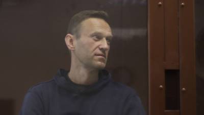 Алексей Навальный - Александер Шалленберг - Константин Салаев - МИД Австрии: чрезмерная реакция по Навальному "отпилит сук", на котором "сидит" ЕС - nation-news.ru - Москва - Австрия