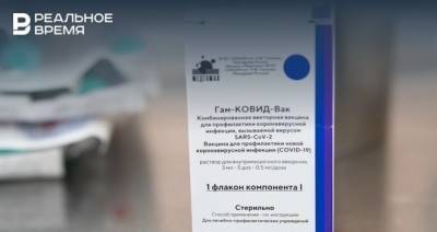 Максим Платонов - В Австрии вакцину «Спутник V» сравнили с автоматом Калашникова - realnoevremya.ru - Австрия