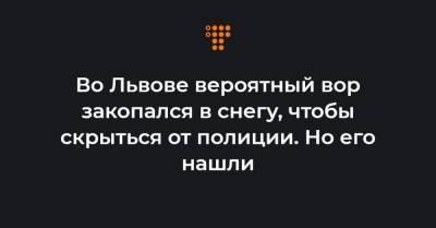 Во Львове вероятный вор закопался в снегу, чтобы скрыться от полиции. Но его нашли - hromadske.ua - Львов - Львовская обл.