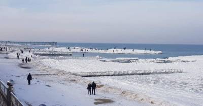 Роза Ветров - На побережье в Зеленоградске десятки людей вышли на лёд (фото) - klops.ru - Зеленоградск