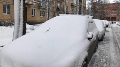 Михаил Леус - В ночь на воскресенье в Петербурге выпало свыше трети месячной нормы осадков - piter.tv - Ленинградская обл. - Санкт-Петербург