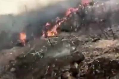 В Нигерии рухнул самолет с военными - mk.ru - Нигерия - Абуджа