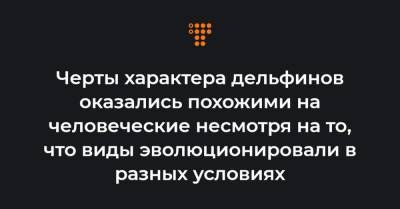 Черты характера дельфинов оказались похожими на человеческие несмотря на то, что виды эволюционировали в разных условиях - hromadske.ua - США - Мексика