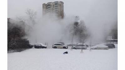 Улица Костюшко на пару: прорвало трубу с горячей водой - piter.tv - Санкт-Петербург - Петербург