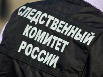 На Сахалине у школы-интерната нашли избитую девочку без одежды – Учительская газета - ug.ru - Сахалинская обл.