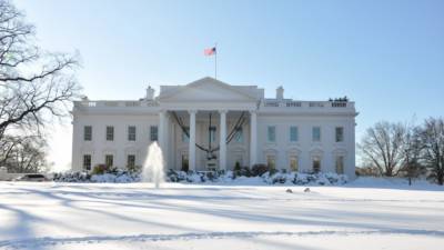 Дональд Трамп - Джо Байден - Собаку Байдена назвали худшим псом Белого дома - politros.com - США