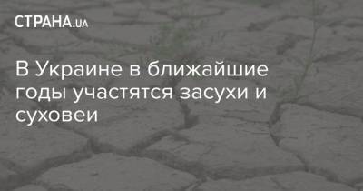 В Украине в ближайшие годы участятся засухи и суховеи - strana.ua