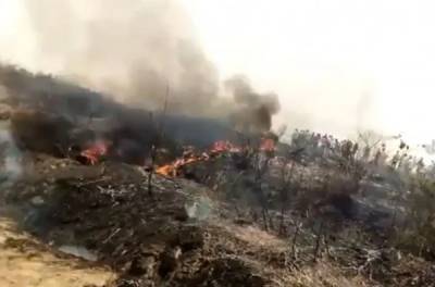 Жертвами крушения самолёта в Нигерии стали семь человек - govoritmoskva.ru - Нигерия - Абуджа