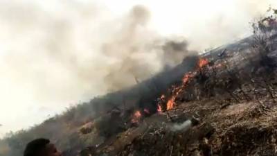 Семь человек погибли при крушении военного самолета King Air в Нигерии - 5-tv.ru - Нигерия - Абуджа
