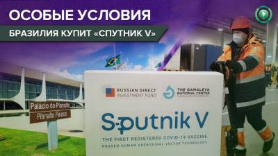 Правительство Бразилии закупит «Спутник V» на особых условиях - riafan.ru - Англия - Бразилия