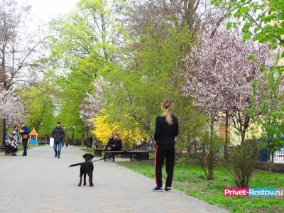 Организовать площадку для выгула собак просят власти ростовчане - privet-rostov.ru - район Пролетарский