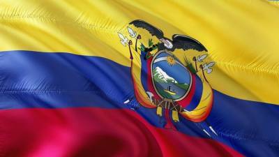 Гильермо Лассо - Андрес Араус и Гильермо Лассо стали лидерами первого тура выборов президента в Эквадоре - riafan.ru - Эквадор - Кито