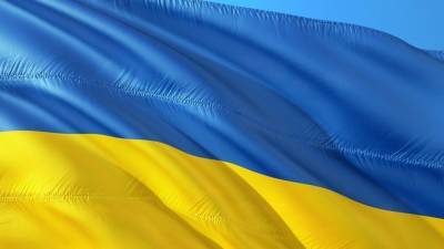 Вадим Иосуб - Сергей Фурса - Украинская экономика стоит на грани новых потрясений из-за решения МВФ - politros.com - Украина