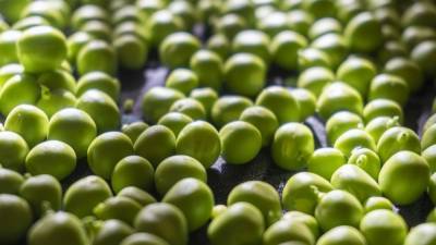 Константин Салаев - Продукты с растительным белком оказались ключом к долголетию - nation-news.ru