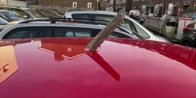 В Лимбурге обломки самолета после взрыва упали прямо на женщину пешехода - фото - ТЕЛЕГРАФ - telegraf.com.ua - Бельгия - Нью-Йорк - Голландия