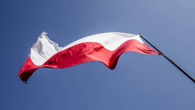 Низкая обороноспособность Польши позволит России "порвать НАТО пополам" - nation-news.ru - США - Варшава