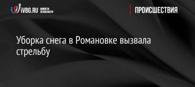 Уборка снега в Романовке вызвала стрельбу - ivbg.ru - Ленинградская обл. - р-н Всеволожский