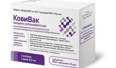 Михаил Мишустин - В России зарегистрировали третью вакцину от COVID-19 - newizv.ru