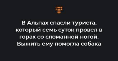 В Альпах спасли туриста, который семь суток провел в горах со сломанной ногой. Выжить ему помогла собака - hromadske.ua