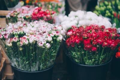 Алексей Ситников - В России спрогнозировали рост цен на цветы к 8 марта - lenta.ru - Белоруссия