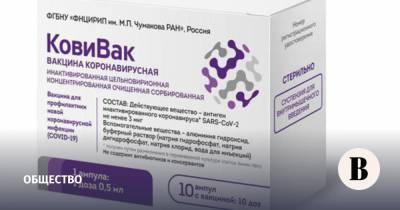 Михаил Мишустин - В России зарегистрировали третью вакцину от коронавируса - vedomosti.ru - Санкт-Петербург - Новосибирск