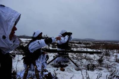 Игорь Гиркин - ВСУ полностью уничтожили одну ДРГ террористов «ДНР» и разгромили другую - real-vin.com - ДНР - Горловка