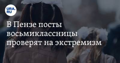 В Пензе посты восьмиклассницы проверят на экстремизм. На нее пожаловалось руководство школы - ura.news - Пенза