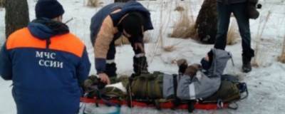 В Приморском крае медведица напала на туриста - runews24.ru - Приморье край