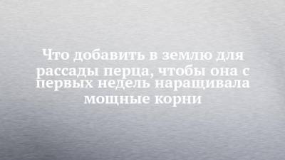 Что добавить в землю для рассады перца, чтобы она с первых недель наращивала мощные корни - chelny-izvest.ru