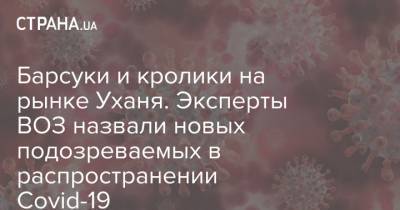 Барсуки и кролики на рынке Уханя. Эксперты ВОЗ назвали новых подозреваемых в распространении Covid-19 - strana.ua - США - Ухань