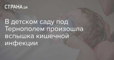 В детском саду под Тернополем произошла вспышка кишечной инфекции - strana.ua - Харьков - Тернопольская обл. - Тернополь - Гсчс