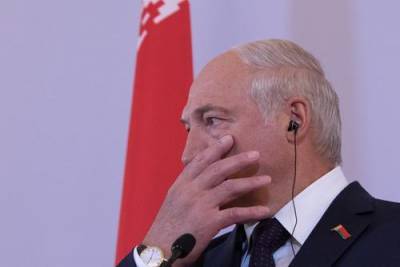Владимир Путин - Александр Лукашенко - Ресурс Avia.pro: Украина не пустила самолет Лукашенко в свое воздушное пространство - argumenti.ru - США - Украина - Киев - Сочи - Белоруссия