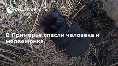 В Приморье спасли человека и медвежонка - ria.ru - Приморье край - Владивосток