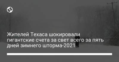 Жителей Техаса шокировали гигантские счета за свет всего за пять дней зимнего шторма-2021 - liga.net - Техас