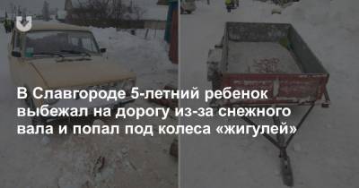 В Славгороде 5-летний ребенок выбежал на дорогу из-за снежного вала и попал под колеса «жигулей» - news.tut.by