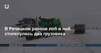 В Речицком районе лоб в лоб столкнулись два грузовика - news.tut.by - район Речицкий