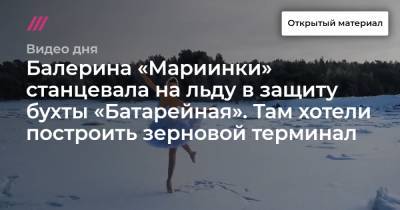 Балерина «Мариинки» станцевала на льду в защиту бухты «Батарейная». Там хотели построить зерновой терминал - tvrain.ru - Ленинградская обл.