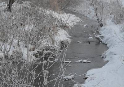 Мороз - 23 февраля температура в Рязанской области опустится до -34 °С - ya62.ru - Рязанская обл. - 23 Февраля