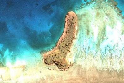 На картах Google обнаружили остров в форме пениса - lenta.ru - Новая Каледония