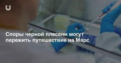 Споры черной плесени могут пережить путешествие на Марс - news.tut.by - county Frontier