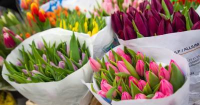 Алексей Ситников - Эксперты оценили динамику цен на цветы перед 8 марта - klops.ru - Белоруссия