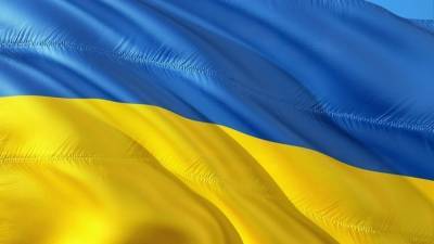 Тренер ФК "Львов" раскритиковал русскоговорящего судью - politros.com - Украина