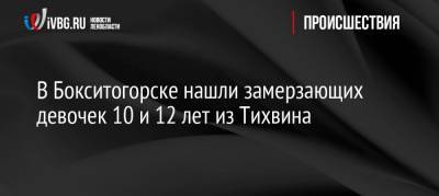 В Бокситогорске нашли замерзающих девочек 10 и 12 лет из Тихвина - ivbg.ru - район Бокситогорский - Бокситогорск