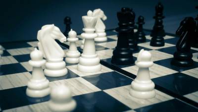 Сильнейшие шахматные композиторы прибыли на турнир в Тверь - afanasy.biz - Тверь