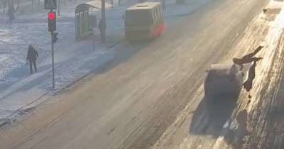 Летел, ничего и никого не видел: под Днепром водитель на "зебре" сбил двух пешеходов (видео) - tsn.ua - Днепропетровская обл. - Никополь - Днепр